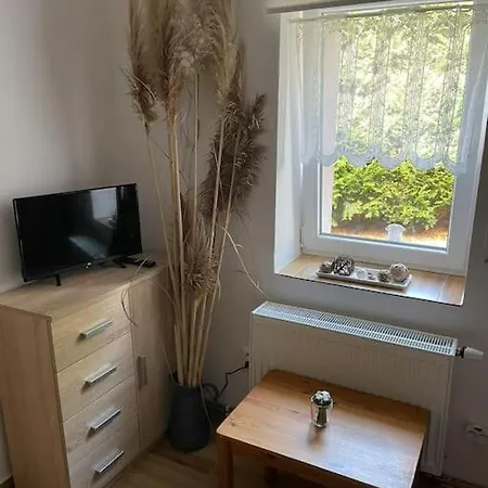 Na Vrsku Apartment Plzen