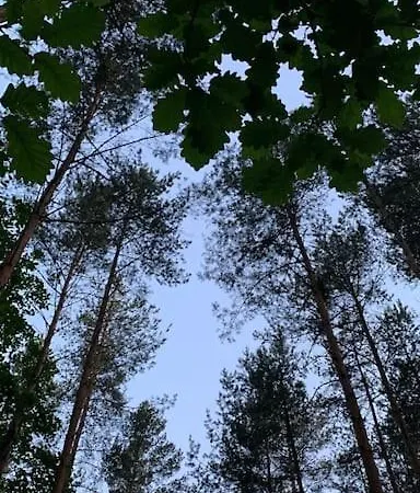 Apartment Na Vrsku