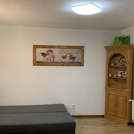 Na Vrsku Apartment Plzen
