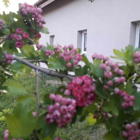 Na Vrsku Apartment Plzen