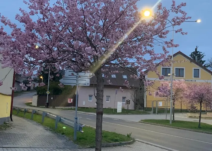 Na Vrsku بلزن