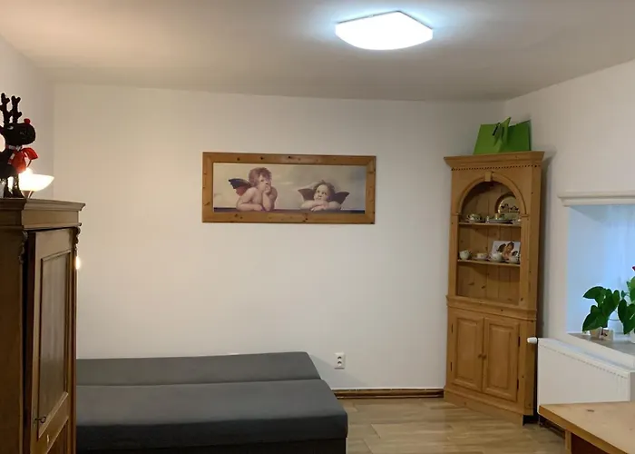 Na Vrsku شقة بلزن