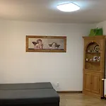 Na Vrsku דירה פלזן